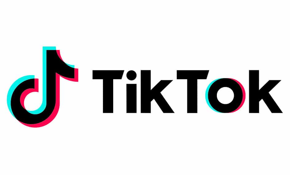 download a tiktok video with link