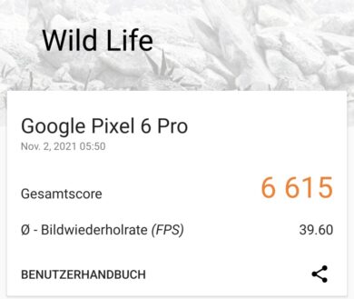 Pixel 6 Pro 3DMark Wild Life Benchmark
