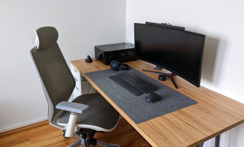 Flexispot BackSupport BS11 Pro - ergonomic office chair in test