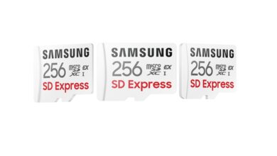 Samsung microSD SD-Express Karte