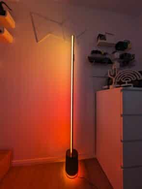 Govee Floor Lamp Pro