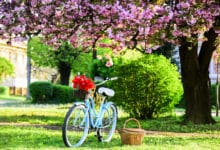 Frühlingshafte Fahrrad-Gadgets Titelbild