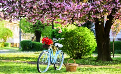 Frühlingshafte Fahrrad-Gadgets Titelbild